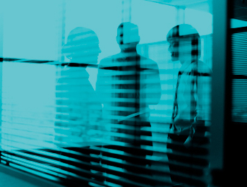 In-House Litigation Counsel