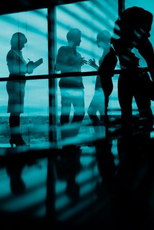 Civil Tax Litigation